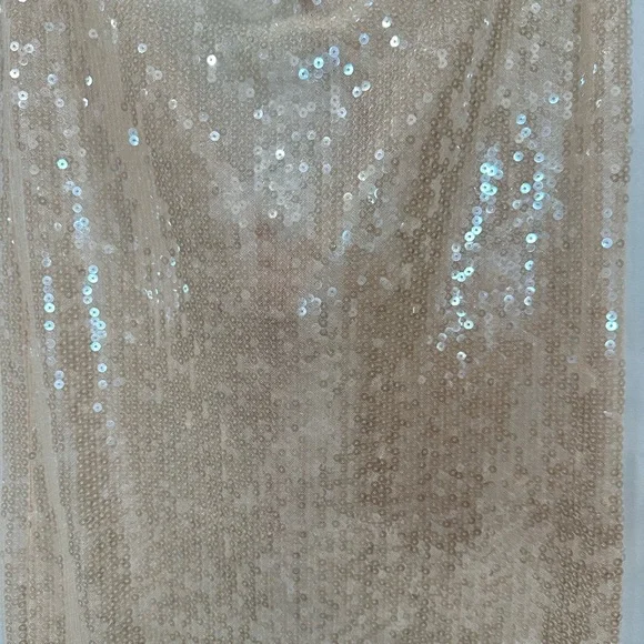 Edikted Riki light pink sheer sequin maxi Skirt - Picture 14 of 15